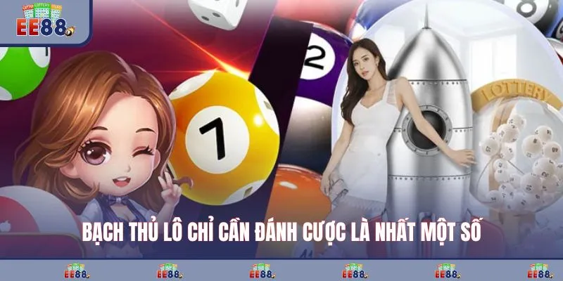 Bạch thủ lô chỉ cần đánh cược là nhất một số