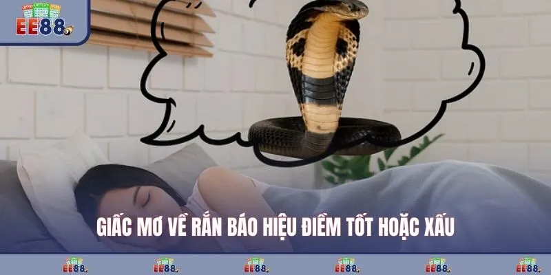 Giấc mơ về rắn báo hiệu điềm tốt hoặc xấu